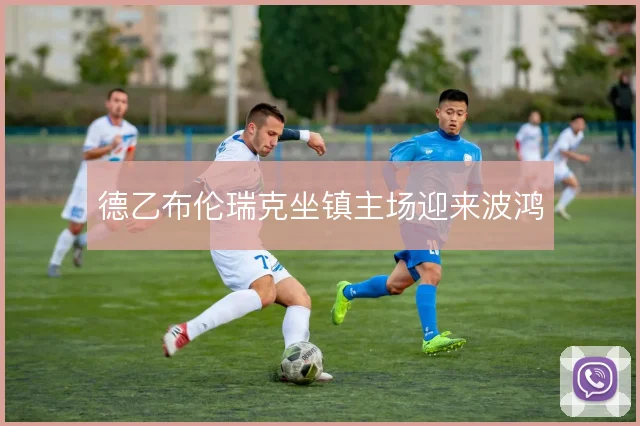 德乙布伦瑞克坐镇主场迎来波鸿