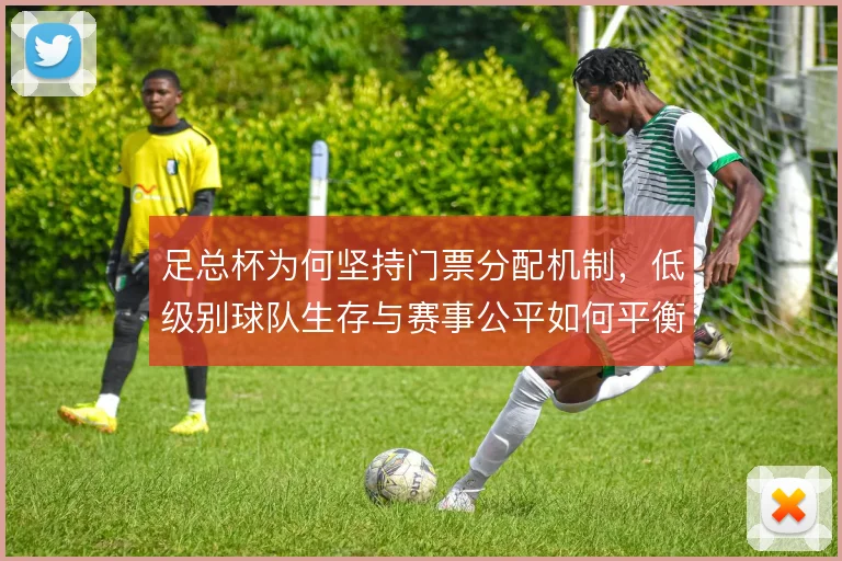 足总杯为何坚持门票分配机制,低级别球队生存与赛事公平如何平衡