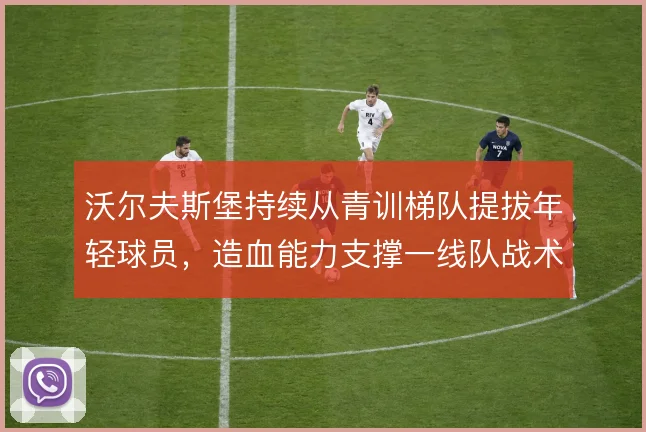 沃尔夫斯堡持续从青训梯队提拔年轻球员,造血能力支撑一线队战术迭代