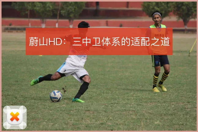 蔚山HD:三中卫体系的适配之道