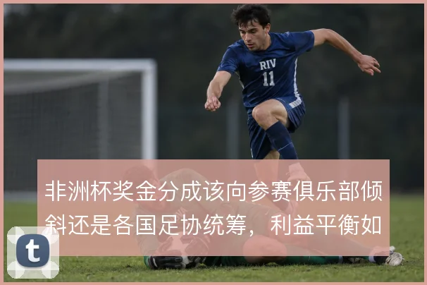 非洲杯奖金分成该向参赛俱乐部倾斜还是各国足协统筹,利益平衡如何取舍